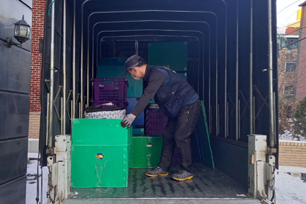 �������ǵ���̹���