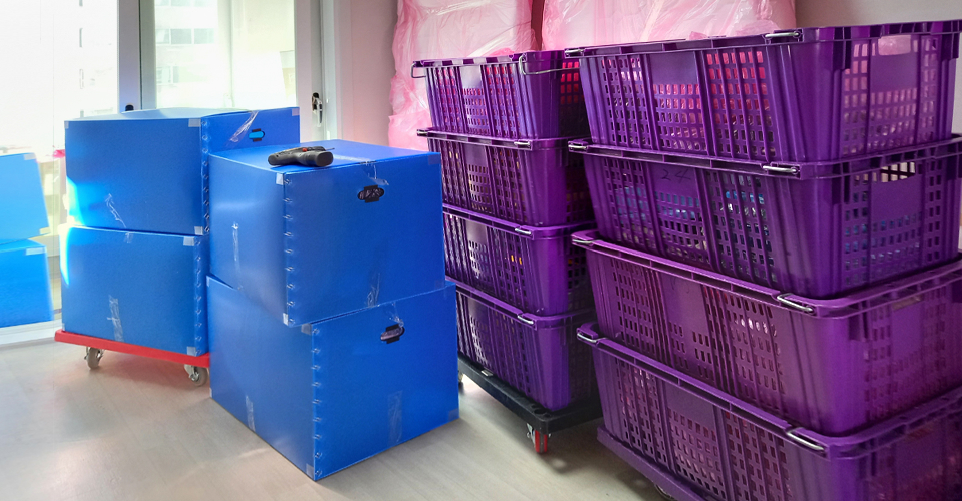 ���������̻��̹���01